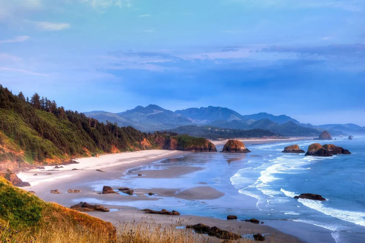 A sweeping view of the sandy beach, gentle waves, and distant mountains sets the scene for daily dog walks, playful runs, and moments spent with pets exploring the natural beauty of Rockaway Beach.
